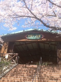 摩耶山に行ってきました。