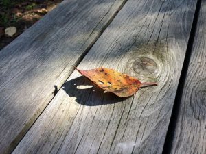 クンルンネイゴンワークショップ