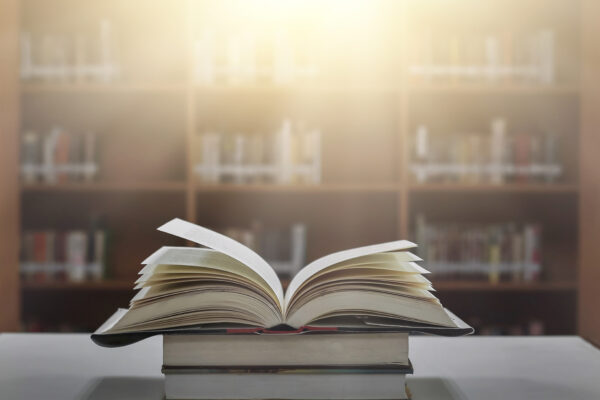 国語を学ぶ意外な理由